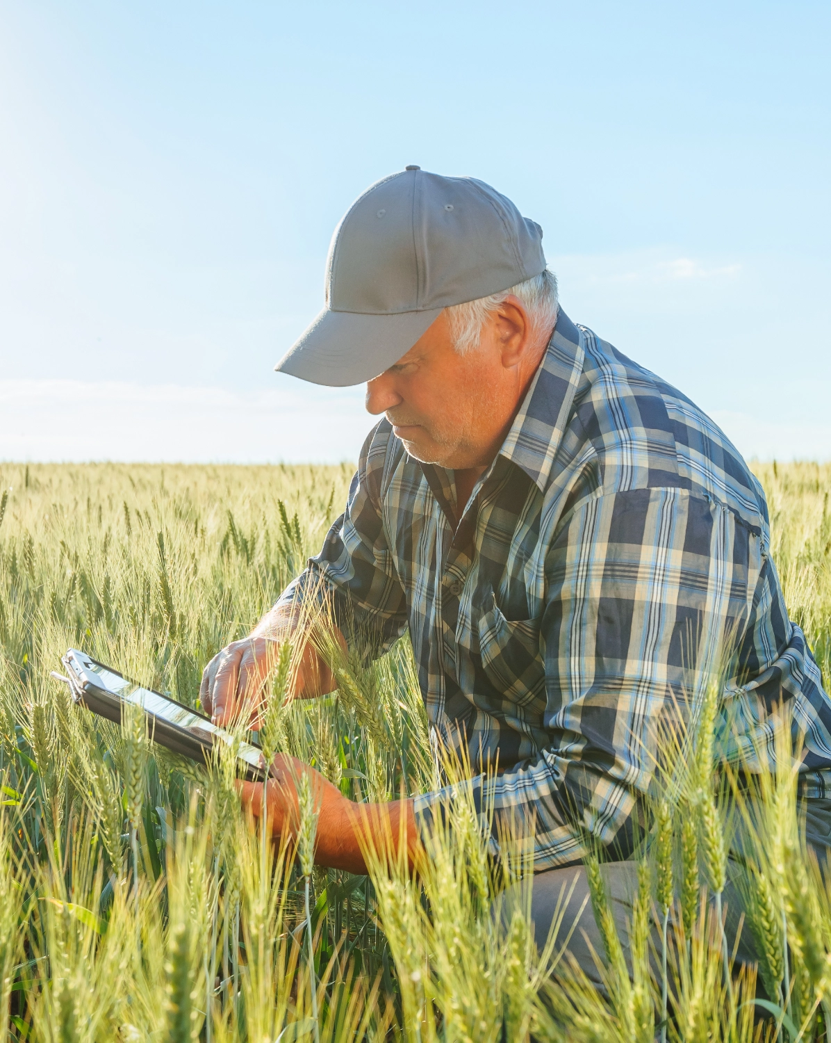 Agronomy Consulting at Epic Ag Solutions