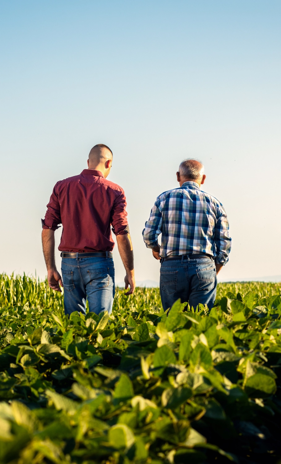 Farmer & Technician in Field