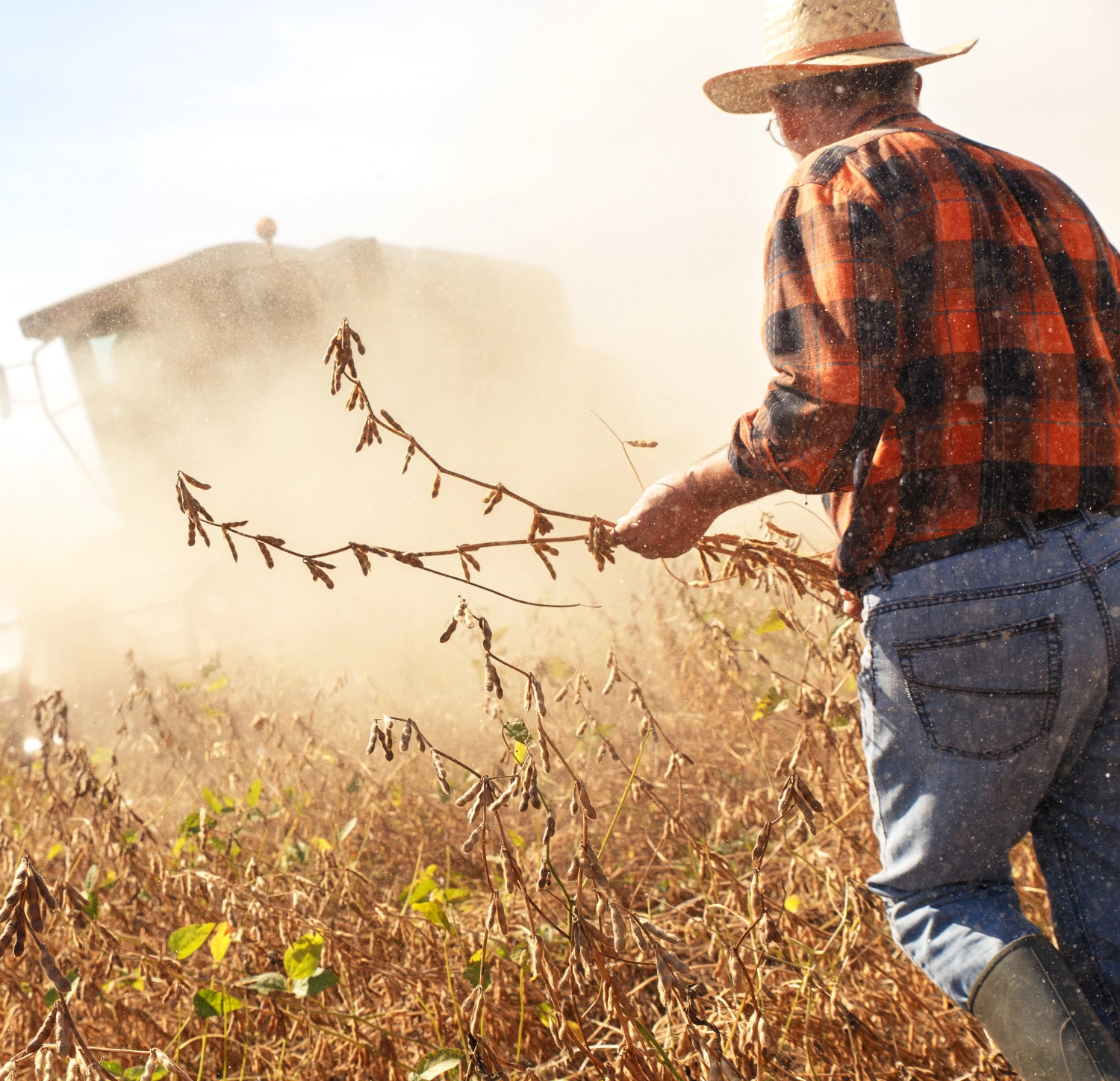 Farmer in Field