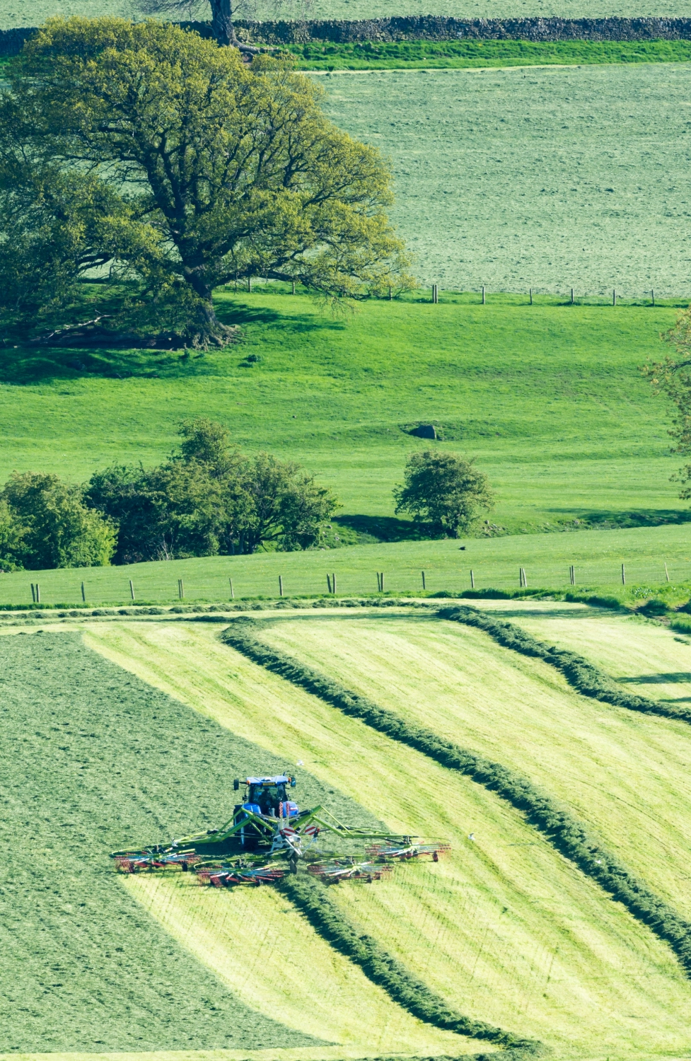 Tractor in Field