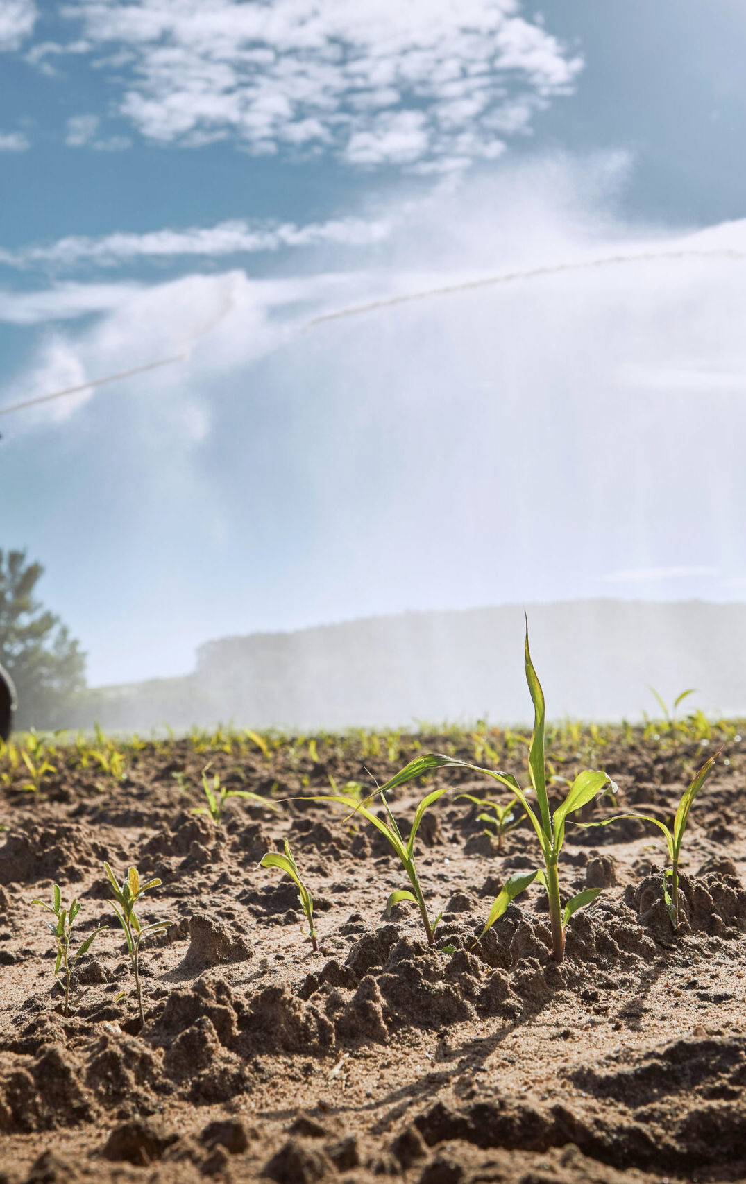 Nitrogen Application to Field