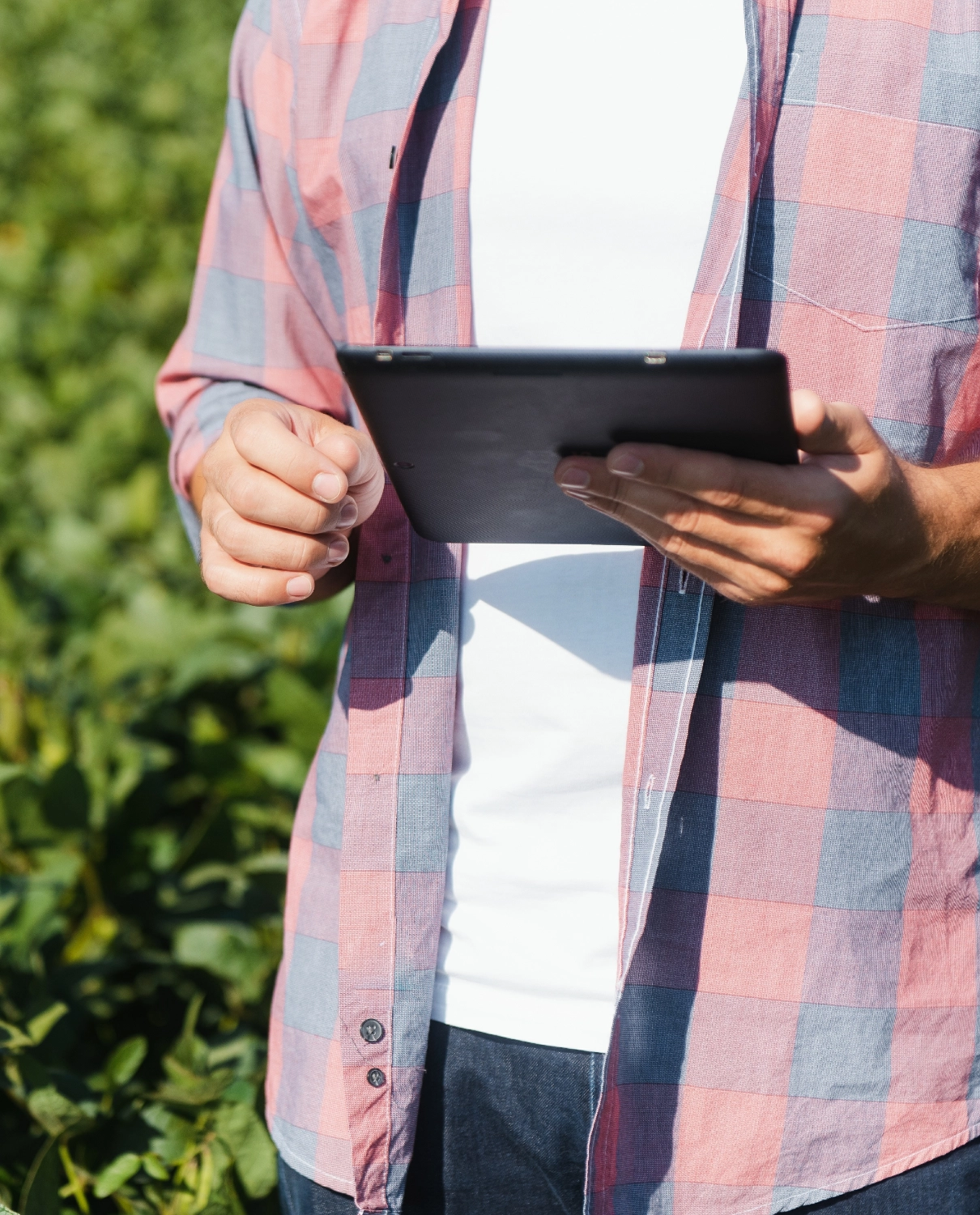 Farmer with Tablet