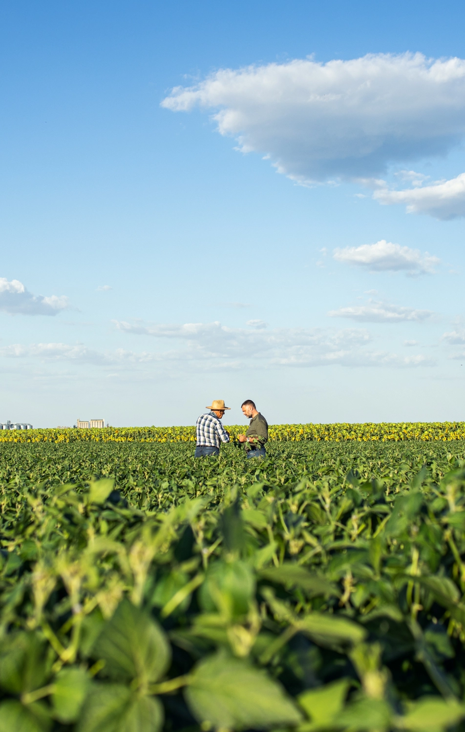 Farmers in Field